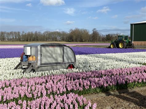 Robots take to the Dutch bulb fields to spot diseased plants - DutchNews.nl