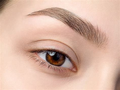 Alopecia En Las Cejas Todo Lo Que Debes Saber Insparya Hair Company