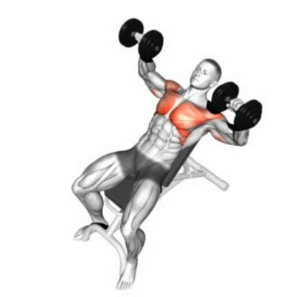 The Incline Dumbbell Press 101 | How to Build a Bigger Upper Chest!