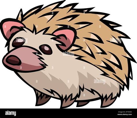 Porcupine Cartoon Illustration Vector Isolated On White Background