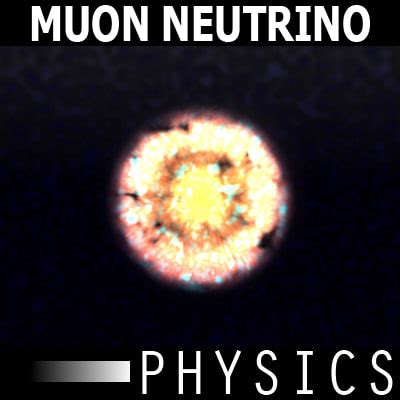 3ds max muon neutrino physics