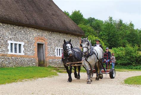 Discover Traditional Buildings At The Weald Downland Museum