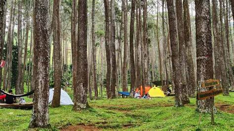 Wisata Batu Kuda Destinasi Alam Di Bandung Wisata Diary