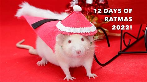 "The 12 Days of Ratmas" 2022 Collab! - YouTube