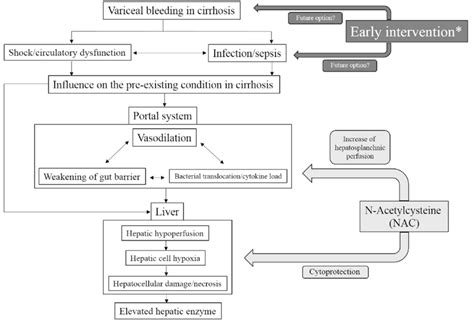 Concept diagram of ischemic hepatitis following variceal bleed ...