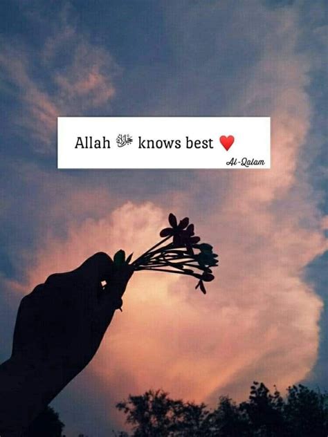 Allah Love Quotes - ShortQuotes.cc