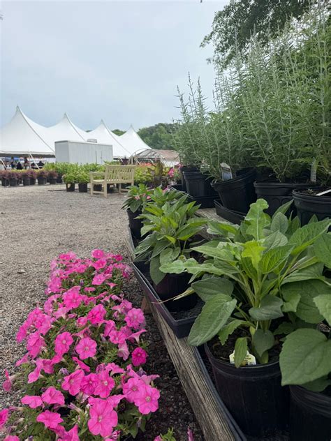 Historic Greenbrier Farms | Chesapeake VA