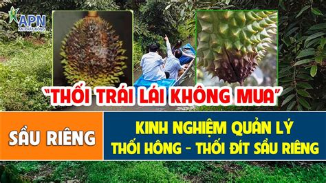 APN HƯỚNG DẪN CHI TIẾT CÁCH TRỊ BỆNH THỐI HÔNG THỐI ĐÍT TRÁI SẦU