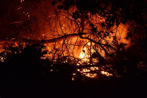 Météo feux de forêts le Var et les Bouches du Rhône placés en