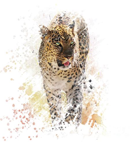 Leopard Watercolor At Explore Collection Of