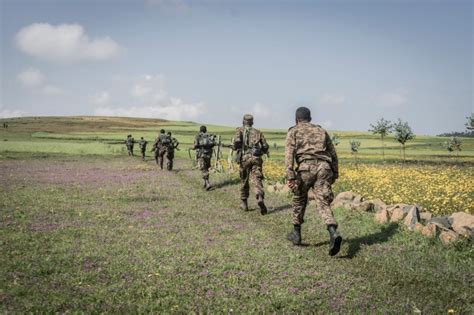 Tplf Oo Lagu Eedeeyay In Ismaamulka Amxaarada Ay Ku Dishay Ruux