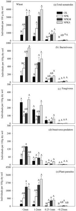 Abundances Of Total Nematodes And Different Trophic Groups Within