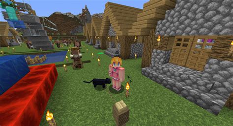 TIL black cat also spawn in village! (Coincidentally I just turned a ...