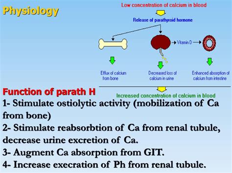 Professor Nashwan Q Mahgoob Medical Collegeuniversity Of Mosul Ppt