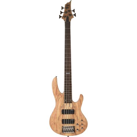 ESP LTD B-205SM 5-String Electric Bass (Natural Satin) LB205SMNS