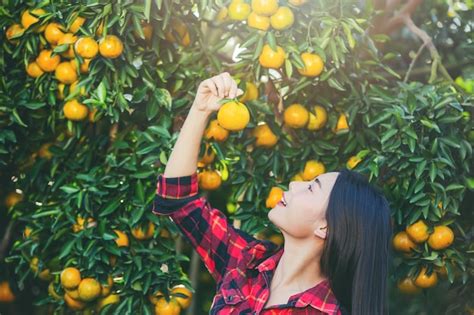 La mujer joven en el jardín cosecha la naranja en el jardín Foto Gratis