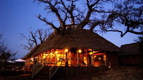 Luxury Tanzania Safari - Micato Safaris