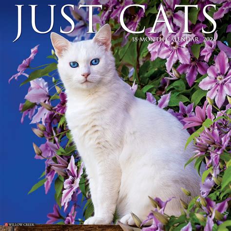 Willow Creek Press Cats Monthly 2024 Wall Calendar 12 X