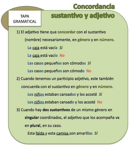 Concordancia Sustantivo Adjetivo Aprendamosfacil