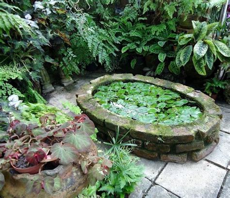 63 best Fernery ideas images on Pinterest | Gardening, Landscaping and ...