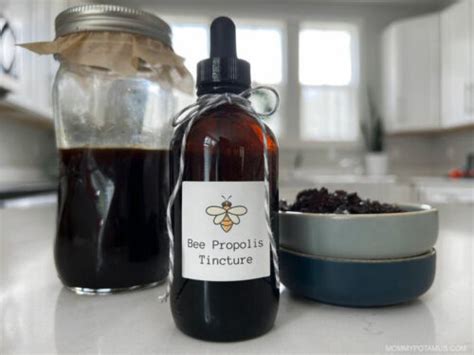 Benefits Of Bee Propolis Diy Tincture Recipe