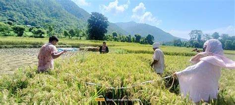 प्रधानमन्त्री कृषि आधुनिकीकरण कार्यक्रमको प्रभावकारिता पाक्यो चैते