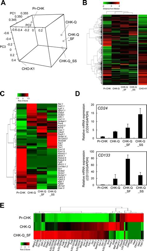 Comparative Gene Expression Analysis Using Dna Microarrays A