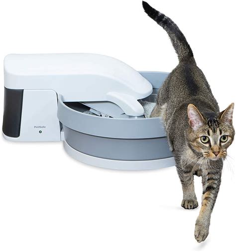 Best Self-Cleaning Litter Box | 2021 Review and Buyers Guide