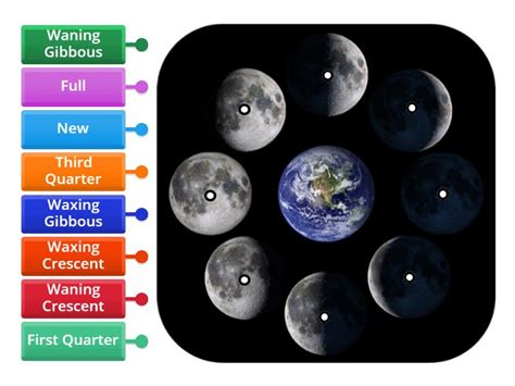 Phases of the moon - - Labelled diagram