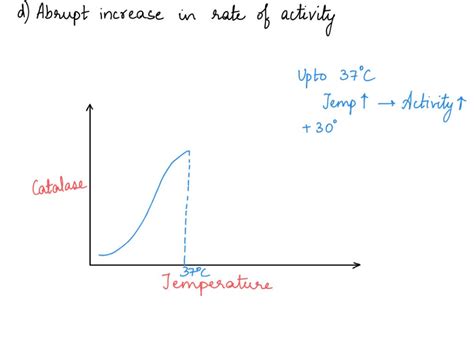 Solved Human Catalase Has An Optimum Temperature Of C Increasing