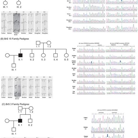 Phenotype And Genotype Relationship Of The Five Identified Mutations In