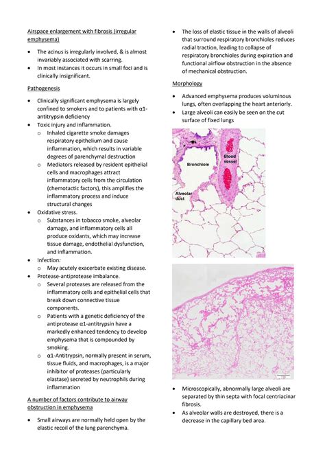 Solution Obstructive Lung Disease Pathology Studypool