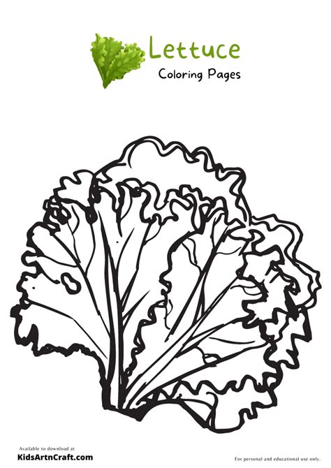 Lettuce Coloring Pages For Kids Free Printables Kids Art And Craft