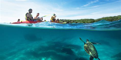 Byron Bay Kayak Tour With Go Sea Kayak Rtw Backpackers