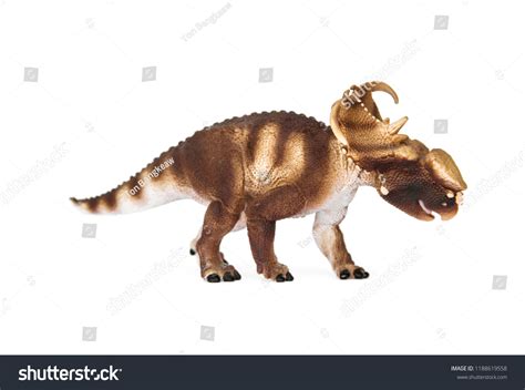 Pachyrhinosaurus Herbivores Dinosaur Living Late Cretaceous Stock Photo