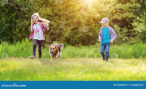 Children Walking with a Dog in Nature Stock Image - Image of love ...