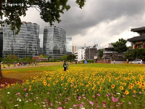 요즘 핫한 열린송현녹지광장 관람 포인트 내 손안에 서울 서울이야기 시민소통 정보소통광장