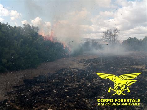 Ancora Fuoco Nell Isola In Volo Gli Elicotteri Antincendio Cagliari