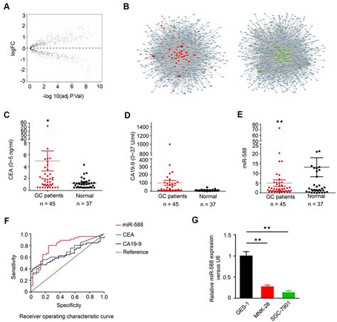 MiR 588 Is A Prognostic Marker In Gastric Cancer Aging