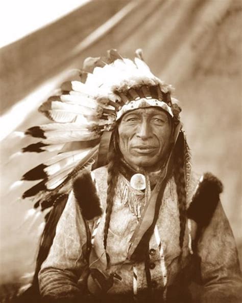 Chief Iron Tail 1905 Oglala Lakota Sioux Native American Etsy Native American Chief Native