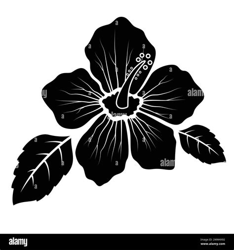 Hibiscus Flower Silhouette Concept Vector Illustration Stock Vector