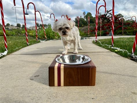 Elevated Dog Bowl Stand, Handmade With Purpleheart, Walnut, Cherry Hardwoods, Bowl Included - Etsy