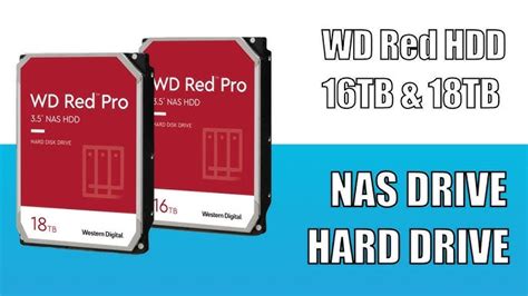 Wd Red Pro 16tb Noise Informacionpublicasvetgobgt