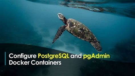 How To Run Postgres Docker Container CentLinux