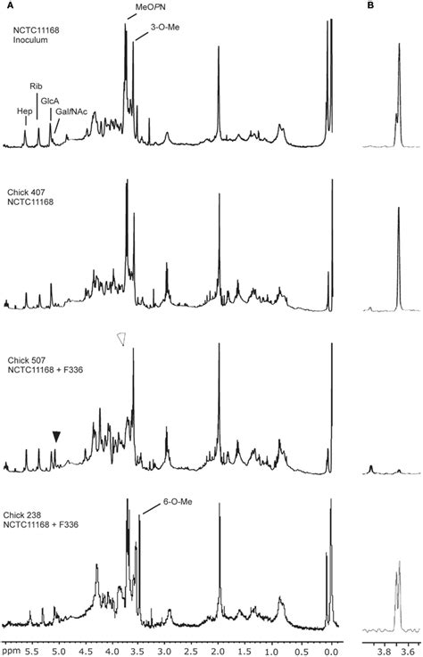 Frontiers Phase Variable Expression Of Capsular Polysaccharide