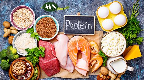 Protein is the most essential nutrient | Find some of the Protein Myth ...