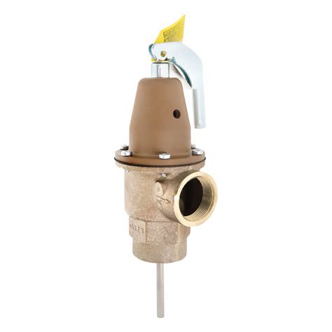 T P And Asme Safety Relief Valves Watts Water Technologies 5