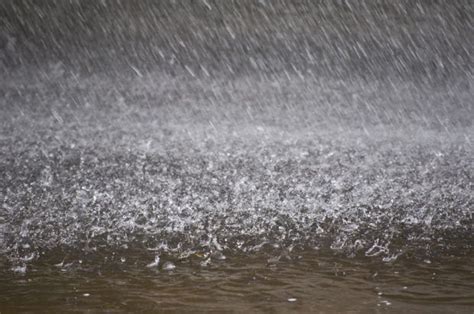 Storm Damages Midwest Wheat Crop More Heavy Rain To Come