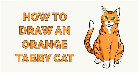 Orange Tabby Cat Drawing