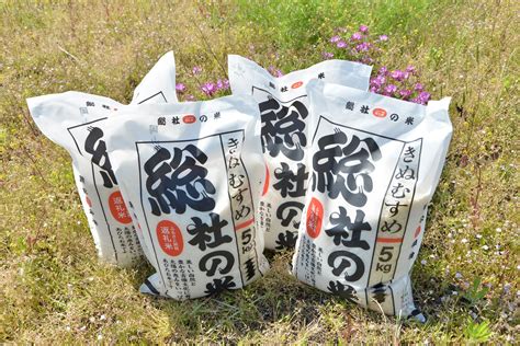 【令和6年産米】特aきぬむすめ【精白米】60kg 定期便（15kg×4回）岡山県総社市産〔令和6年11月・令和7年1月・3月・5月配送〕24